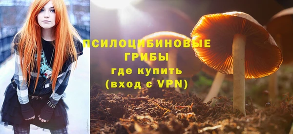 прущие крисы Беломорск