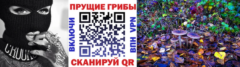 ссылка на мегу ссылки  Горнозаводск  Галлюциногенные грибы GOLDEN TEACHER  цены наркотик 